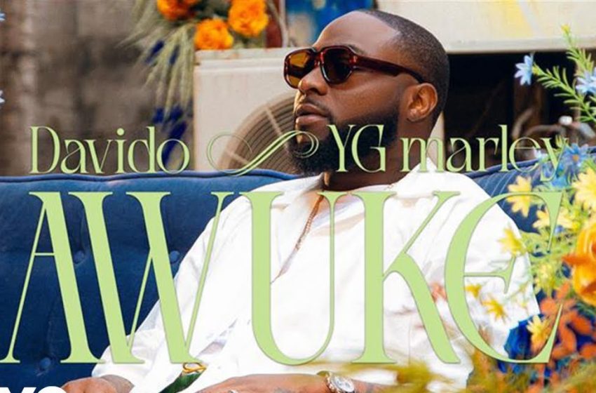  Why Awuke by Davido and YG Marley Is the Talk of the Town