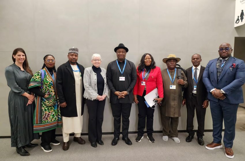  Positive Outcome From The Ongoing COP29 